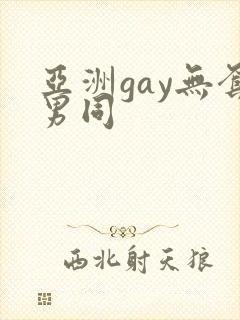 亚洲gay无套男同