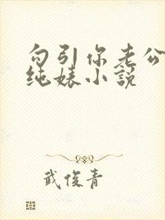 勾引你老公的清纯婊小说封面