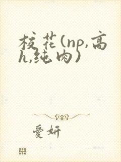 校花(np,高h,纯肉)