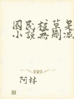 国民校草是女生小说无删减封面