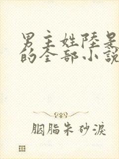 男主姓陆是总裁的全部小说