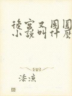 后宫又团圆原著小说叫什么名字