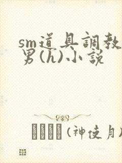 sm道具调教男男(h)小说