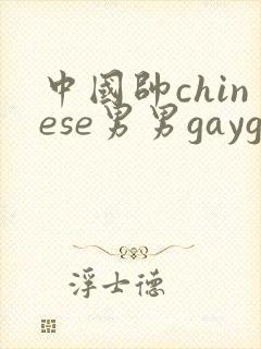中国帅chinese男男gaygay网站