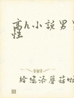 高h小说男男双性封面