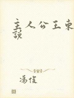 主人公王东的小说