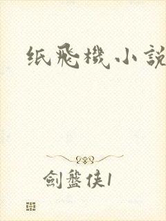 纸飞机小说