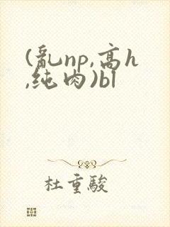 (乱np,高h,纯肉)bl