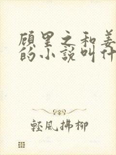 顾里之和姜年年的小说叫什么名字