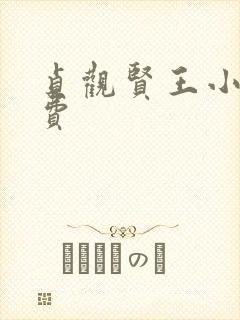 贞观贤王小说免费