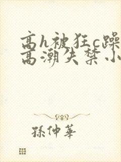 高h被狂c躁到高潮失禁小说