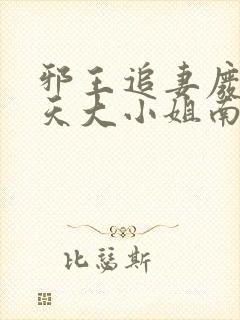 邪王追妻废材逆天大小姐南宫流云封面