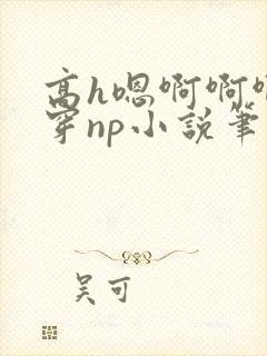 高h嗯啊啊啊快穿np小说笔趣阁