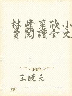 林峰宁欣小说免费阅读全文最新章节封面