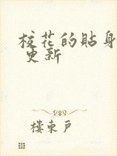 校花的贴身高手 更新