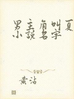 男主角叫夏天的小说名字封面