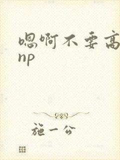 嗯啊不要高h np