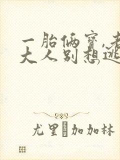 一胎俩宝,老婆大人别想逃txt