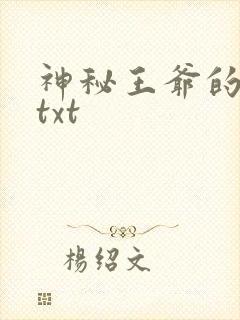 神秘王爷的爱妃txt