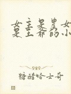 女主是农女男主是王爷的小说