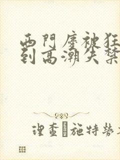 西门庆被狂c躁到高潮失禁小说