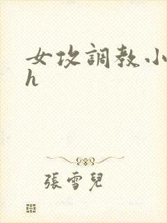 女攻调教小说高h封面