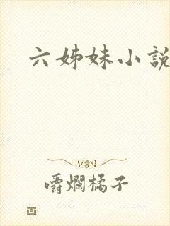 六姊妹小说