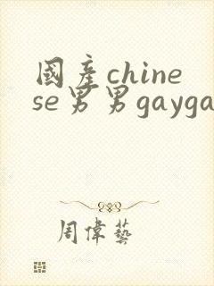 国产chinese男男gaygay网站网约