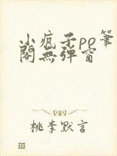 小疯子po笔趣阁无弹窗