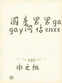 国产男男gaygay网站xnxx