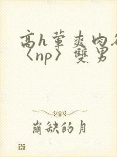 高h荤爽肉欲文〈np〉双男