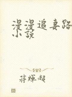 漫漫追妻路免费小说封面