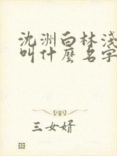 沈洲白林浅小说叫什么名字