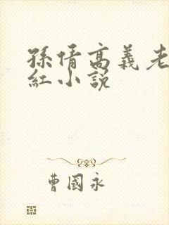 孙倩高义老七美红小说