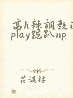 高h辣调教道具play跪趴np