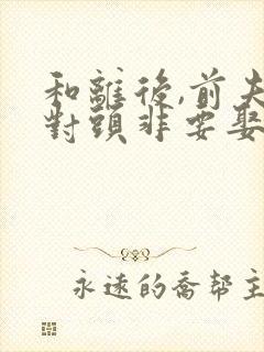 和离后,前夫死对头非要娶