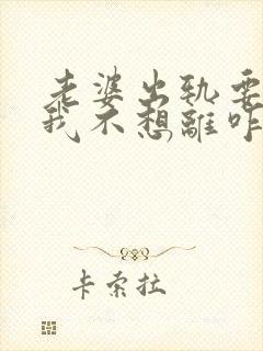 老婆出轨要离婚我不想离咋办