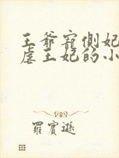 王爷宠侧妃王妃虐王妃的小说