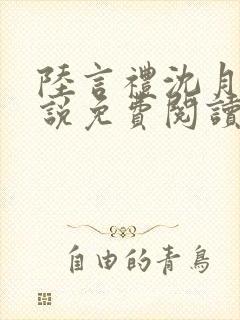 陆言礼沈月慈小说免费阅读最新章节封面