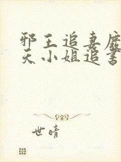 邪王追妻废材逆天小姐追书