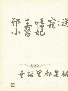 邪王嗜宠:逆天小医妃