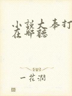 小说大奉打更人在哪听