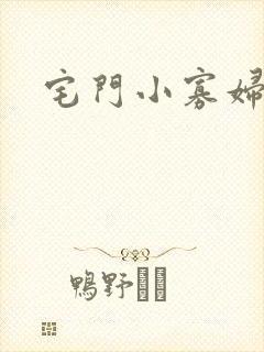 宅门小寡妇