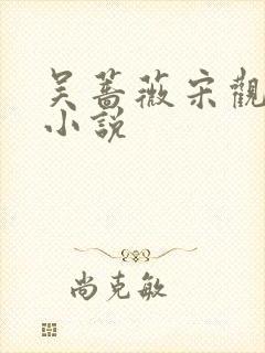 吴蔷薇宋观潮 小说