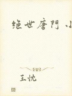 绝世唐门 小说