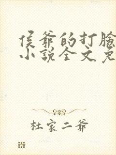侯爷的打脸日常小说全文免费阅读封面