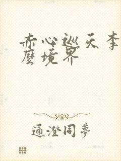 赤心巡天李一什么境界