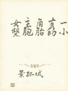 女主角有一对是双胞胎的小说