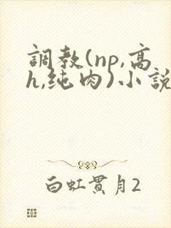 调教(np,高h,纯肉)小说