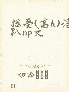 总受(高h)淫趴np文